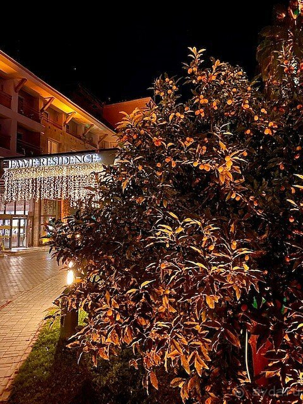 С удовольствием буду рекомендовать и приезжать к вам снова!