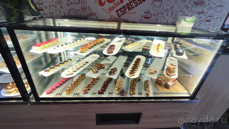 фото Dream Family Club