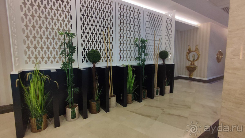 фото Dream Family Club