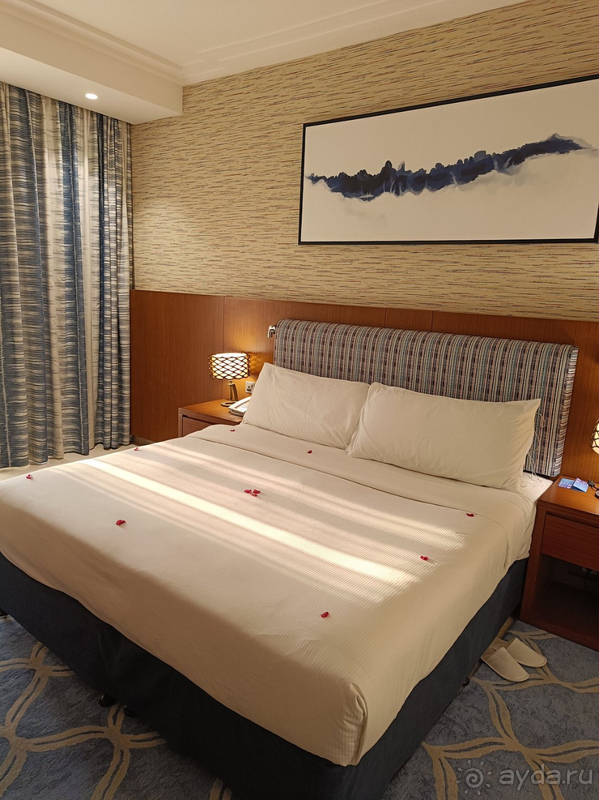 Остановилась в этим отеле и осталась очень довольна