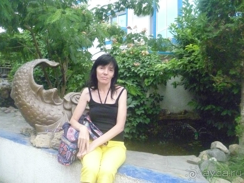 Андерсону понравилось бы