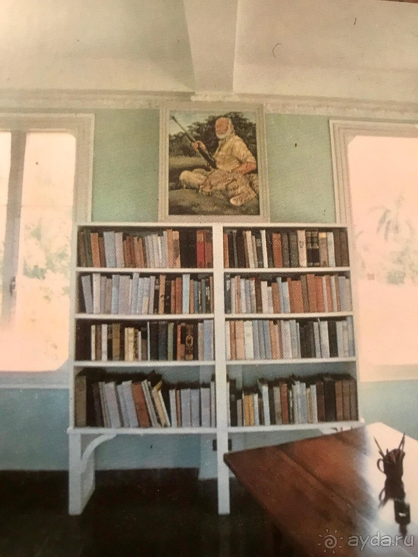 Розовый фламинго + пляж Хемингуэя