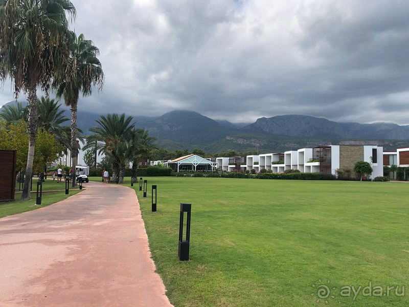 Хорошая пятёрка, но есть и минусы