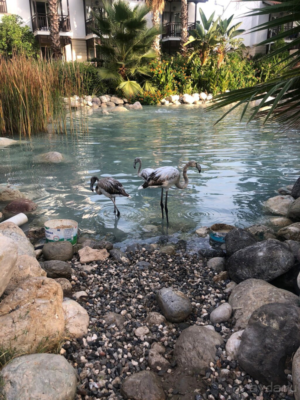 Хорошая пятёрка, но есть и минусы