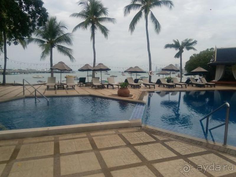 Отличное соотношение цены и качества