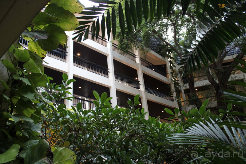 Отличное соотношение цены и качества