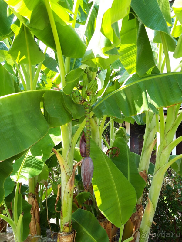 отличная неделька отдыха в начале сентября