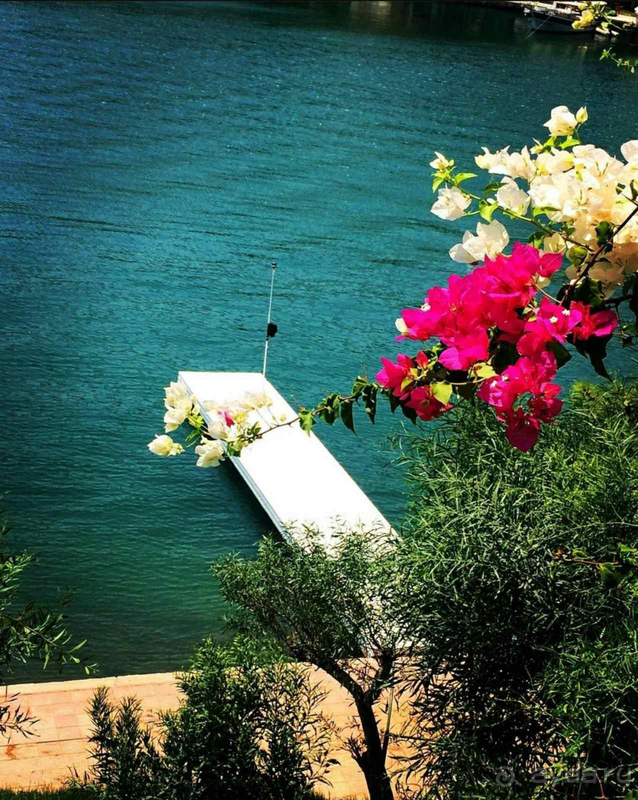 Фетхие - любовь навсегда! 