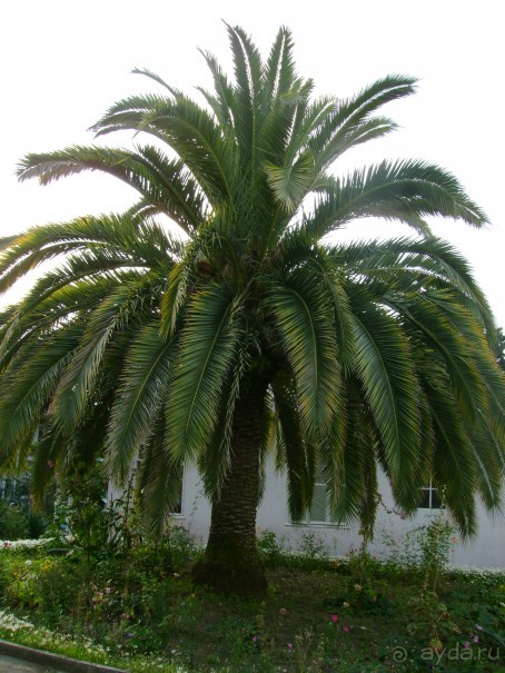 Тишь да божья благодать!