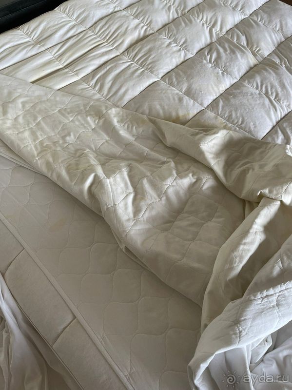 Разочаровались