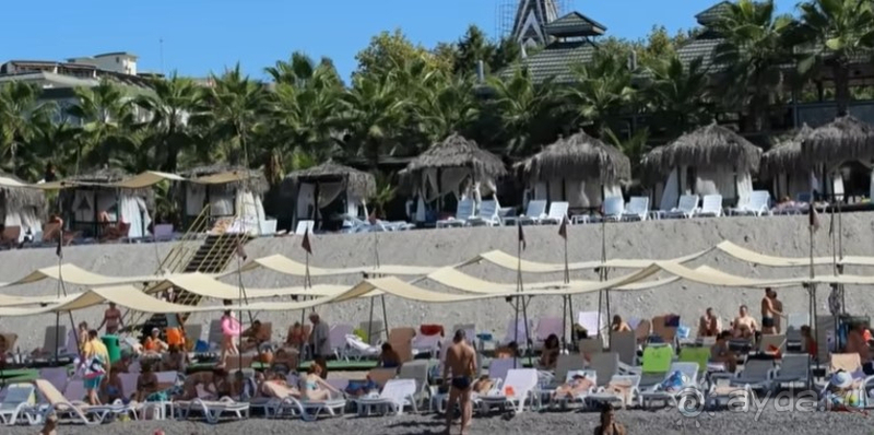 Всей семьёй по-настоящему отдохнули!