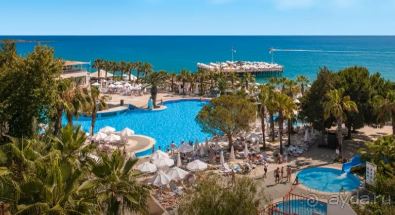 Всей семьёй по-настоящему отдохнули!