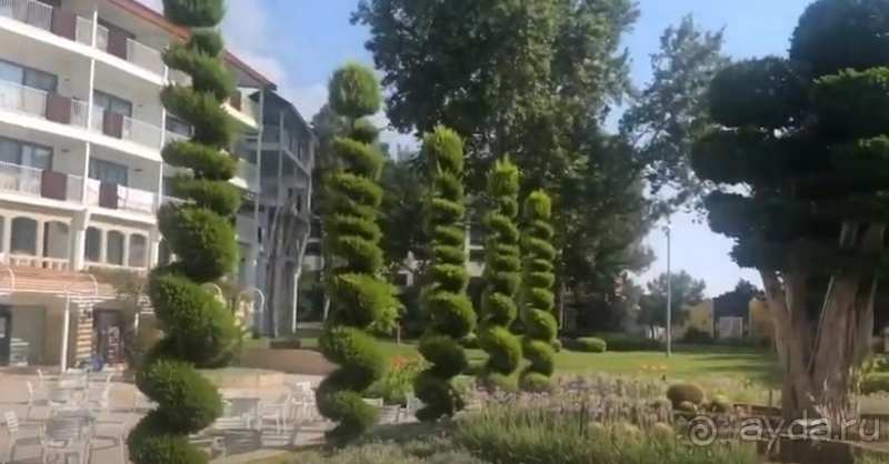 Самые приятные воспоминания и рекомендации