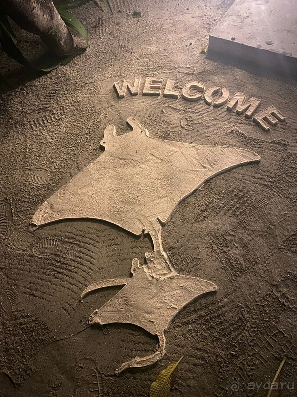 фото Anantara Kihavah Villas