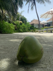 Один из самый лучших отелей на Мальдивах. 