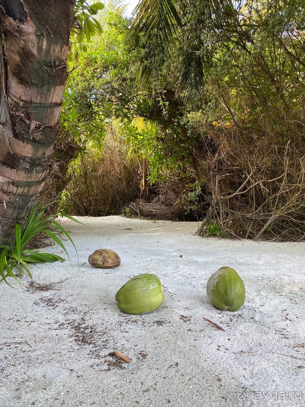 фото Anantara Kihavah Villas