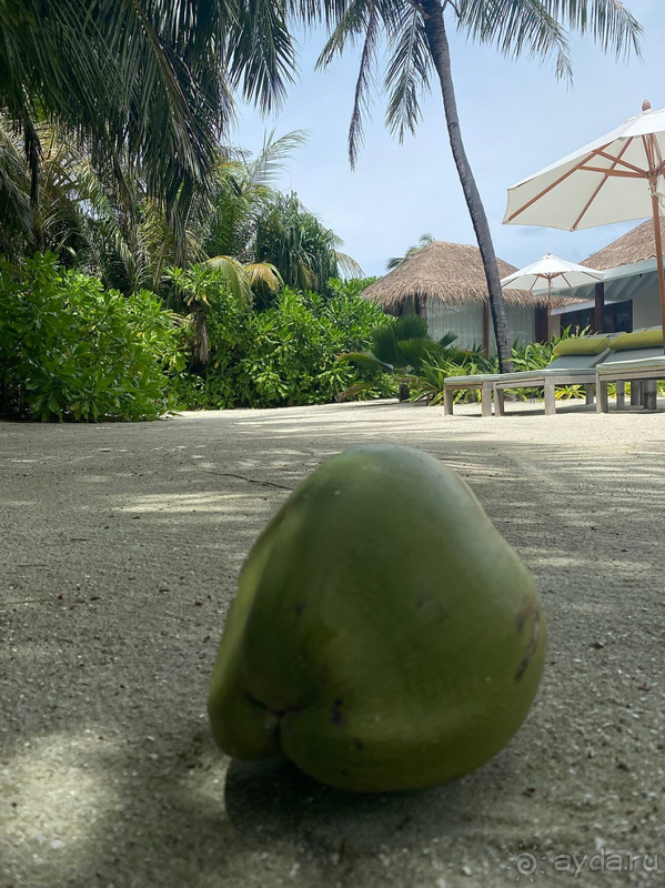 Один из самый лучших отелей на Мальдивах. 