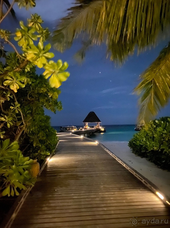 Один из самый лучших отелей на Мальдивах. 