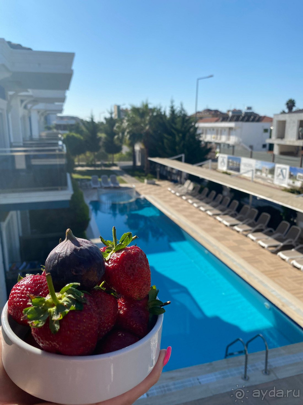 Несмотря на некоторые недочеты, нам понравилось 