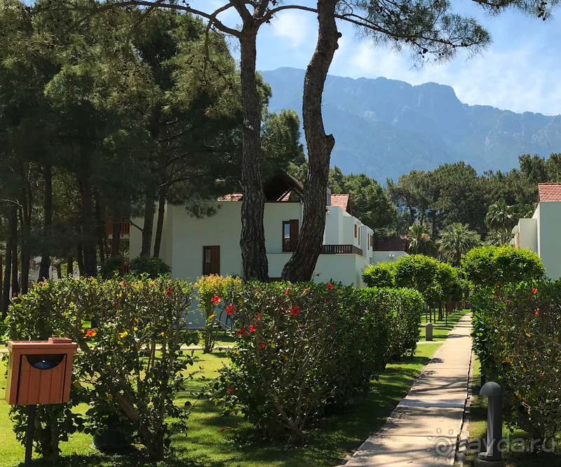 Гостеприимство и отличный сервис