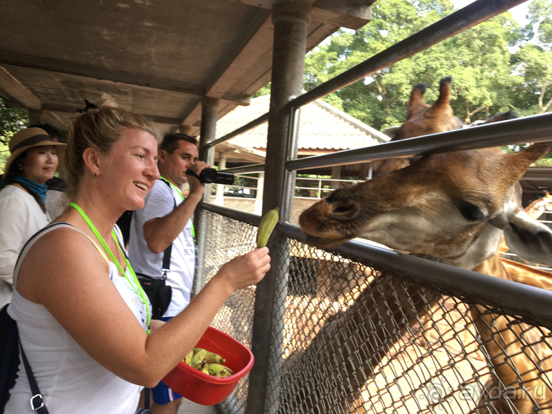 New Nordic Resorts  и наша вторая поездка в Тайланд