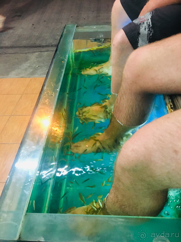 New Nordic Resorts  и наша вторая поездка в Тайланд