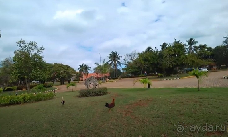 Райский бриз 