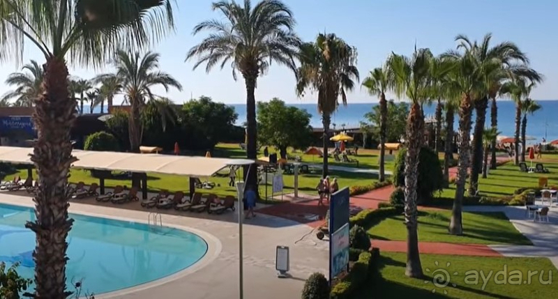 Но Маритими – но пати!