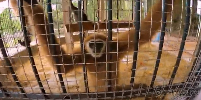 Хорошая классика Хорошая классика