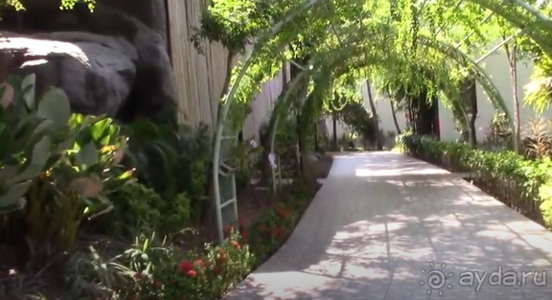 В этом отеле по-настоящему отдых