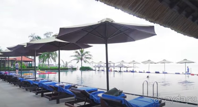 Красивая экзотика 