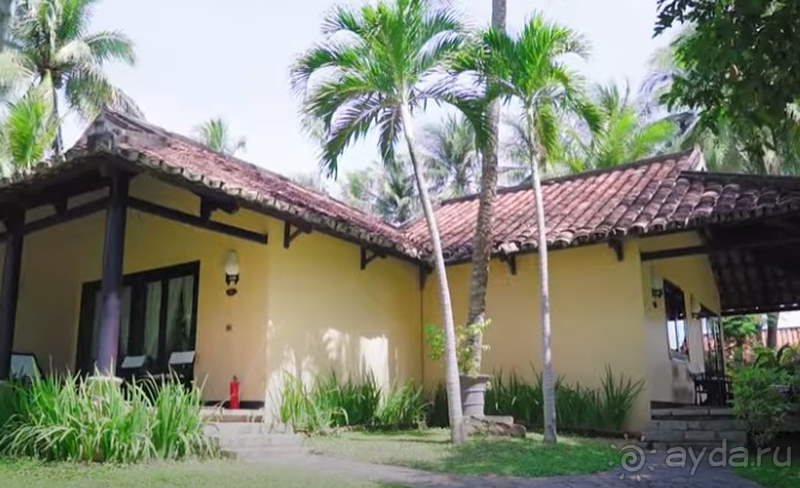 Красивая экзотика 