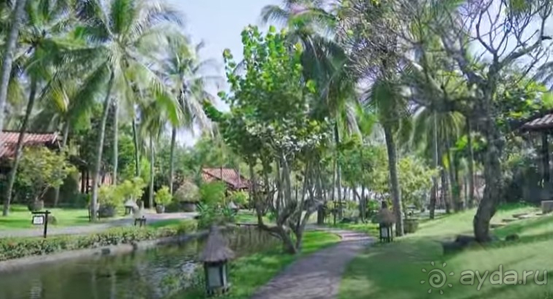 Красивая экзотика 