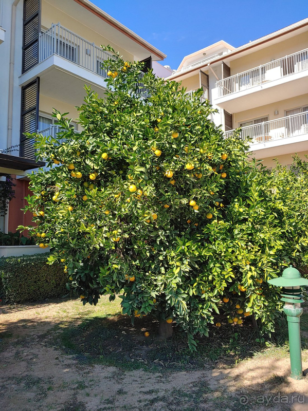 Приятный отдых осенью в Турции