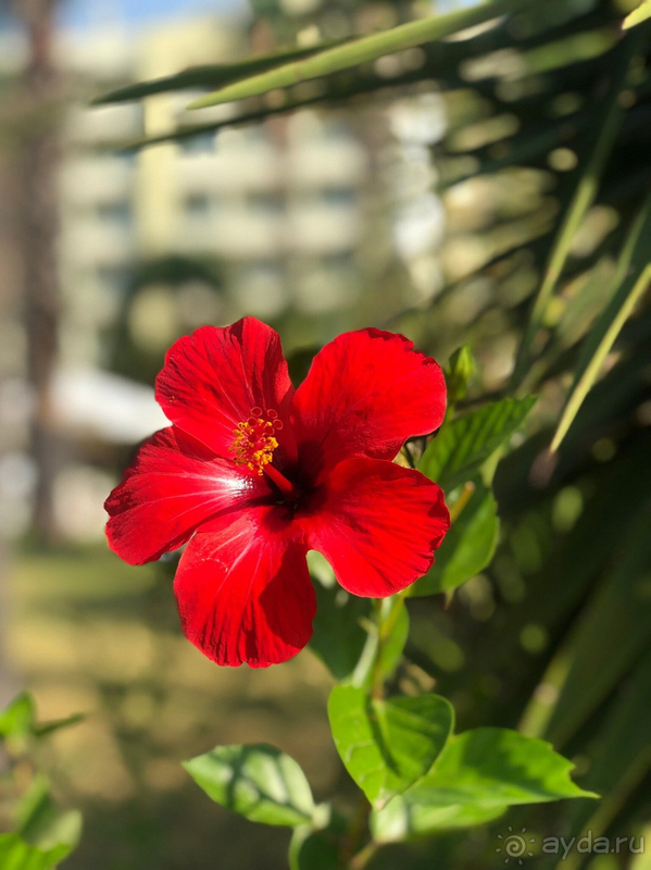 фото FUN&SUN Club Di Finica