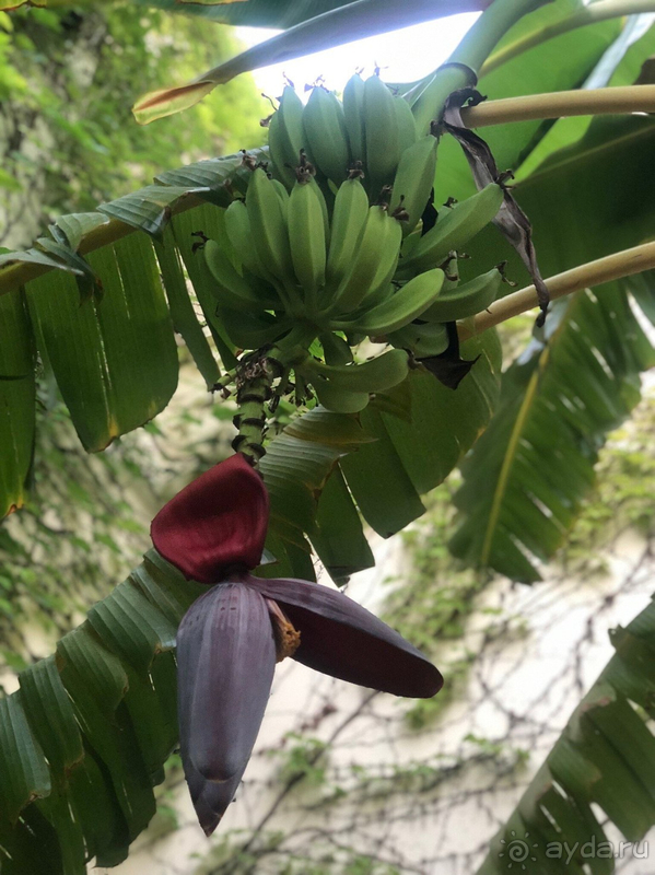 Понравилось, но больше мы сюда наверное не приедем