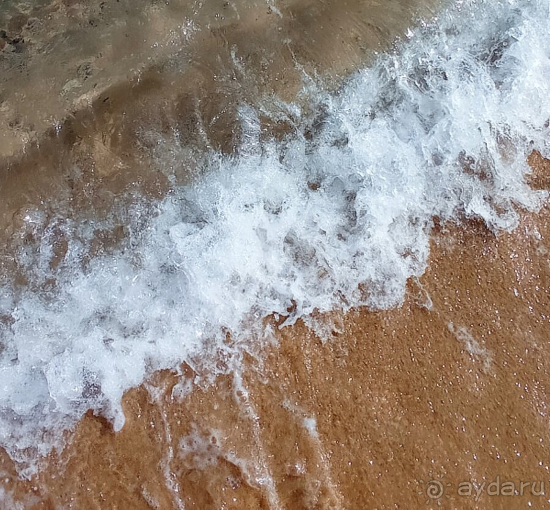 Чудесные 2 недели