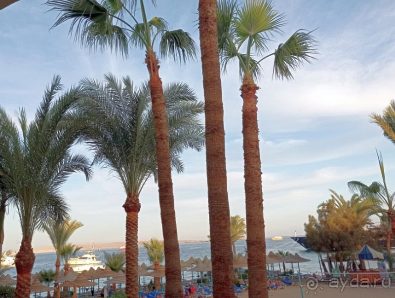 Чудесные 2 недели