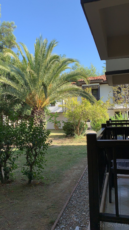 Club Nena отдых 2021