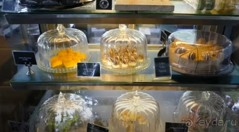 Внутри отеля спокойствие, за пределами веселье Внутри отеля спокойствие, за пределами веселье