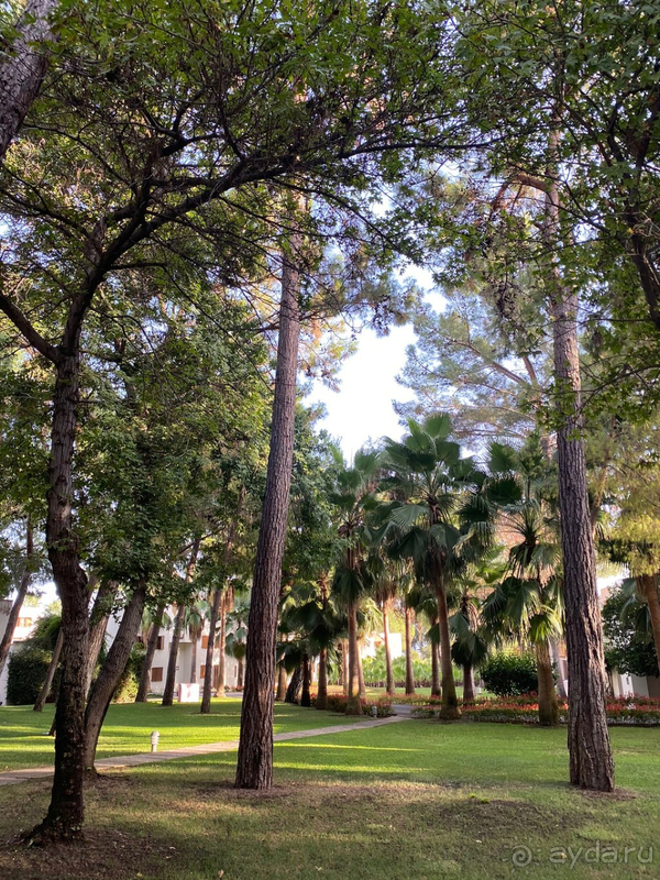 С детьми и за спортом сюда