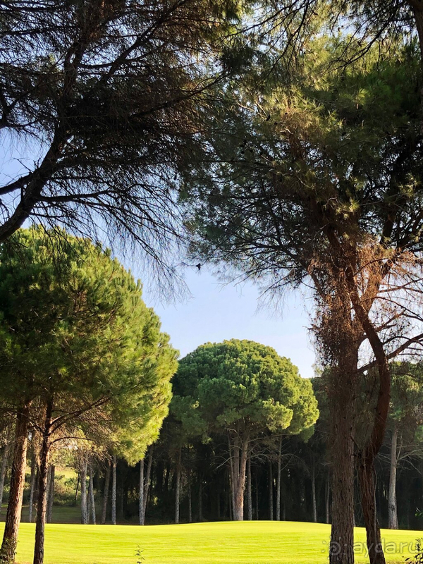 В Корнелии понравилось больше, чем в Риксосе