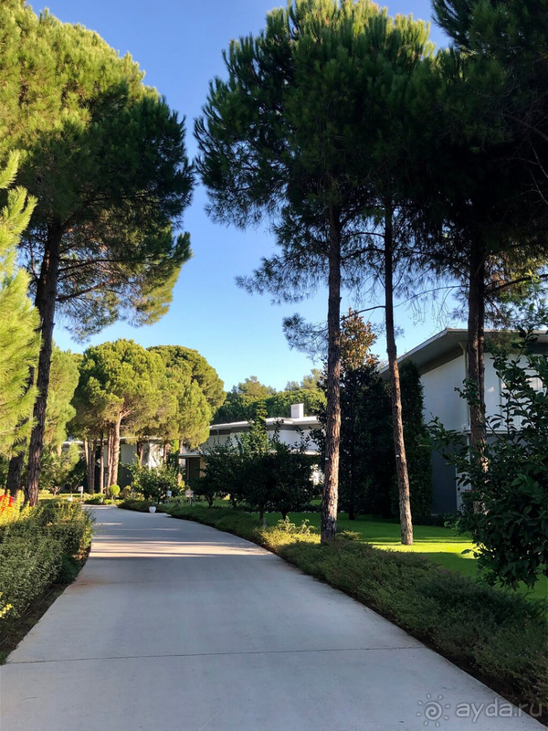 В Корнелии понравилось больше, чем в Риксосе