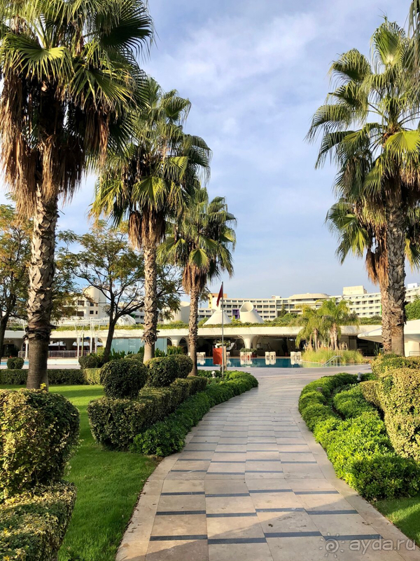 В Корнелии понравилось больше, чем в Риксосе