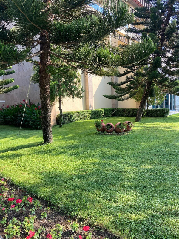 Хороший отдых в условиях пандемии !!!