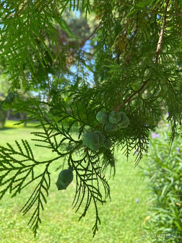 Хороший отдых в условиях пандемии !!!