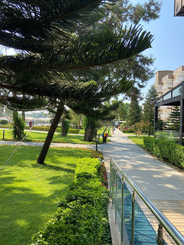 Хороший отдых в условиях пандемии !!!