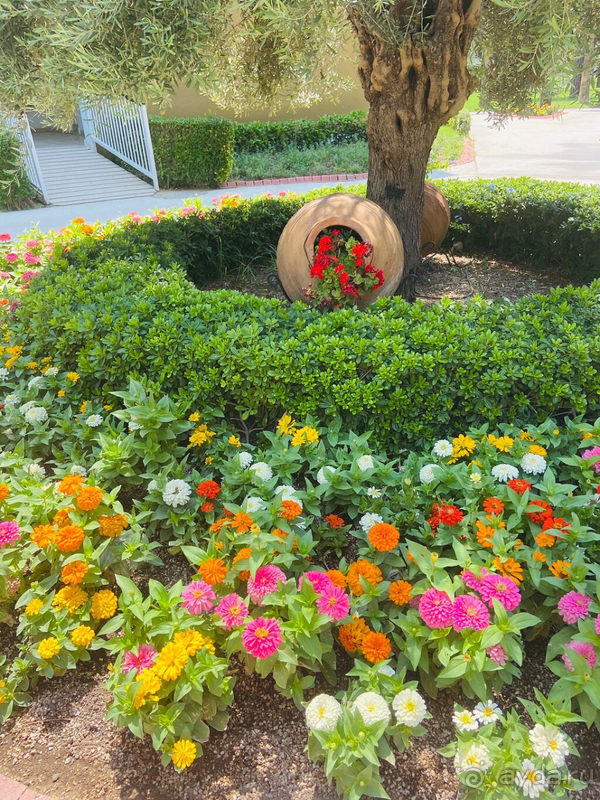 Хороший отдых в условиях пандемии !!!