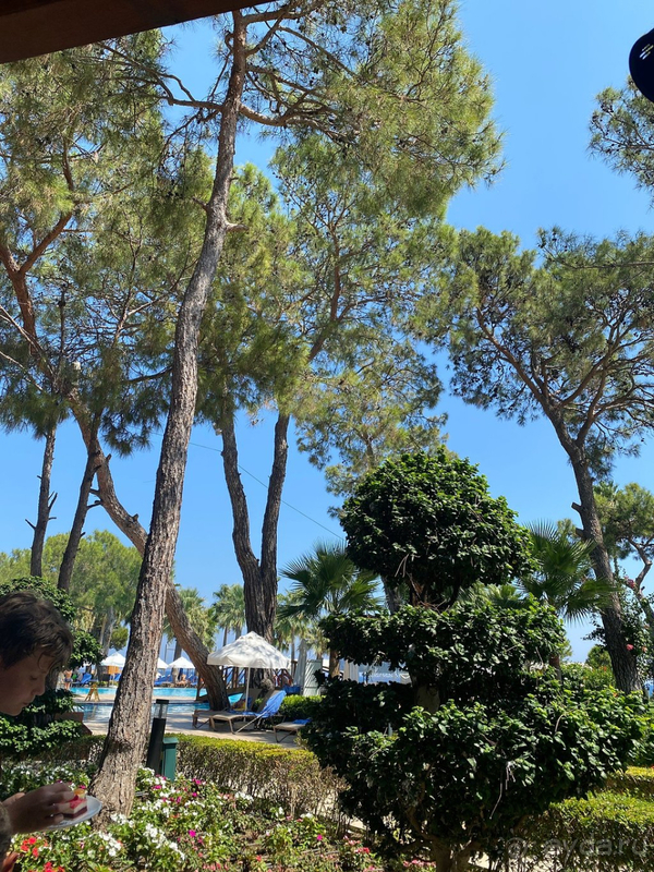 Отель оправдал наши ожидания