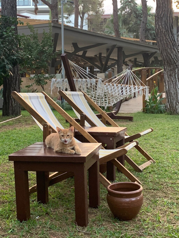 Прекрасный отдых